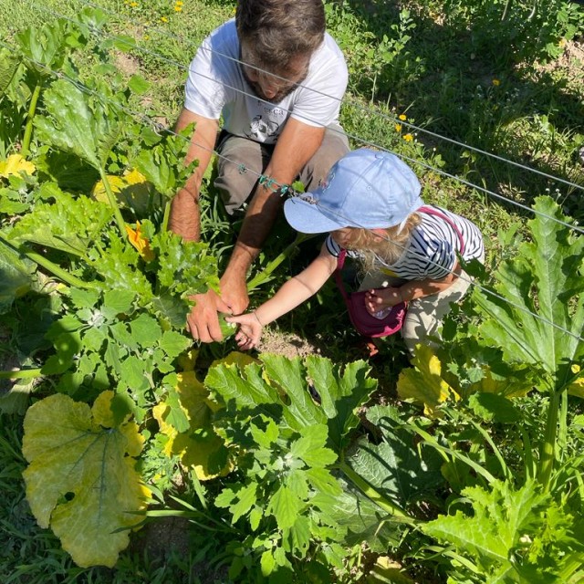 Ripartono le Settimane Sarde! Giugno