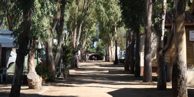 Piazzole 2/3 posti